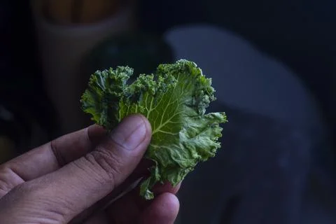 Lettuce leaf in hand path isolated on dark. Stock-Fotos