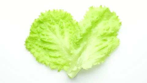 Lettuce leaf as heart on white background. green salad lettuce 動画素材 148524895