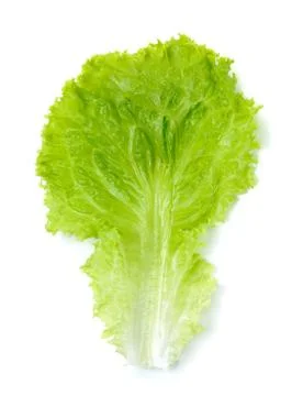 Lettuce leaf isolated on the white background Stock Photos