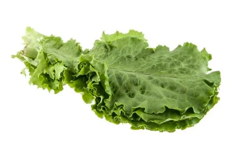 Lettuce leaf isolated on white background Stock Photos