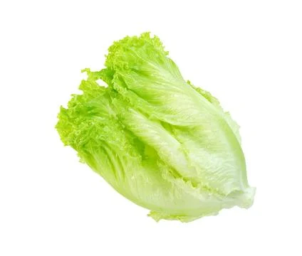 Lettuce leaf isolated on white background ,Green leaves pattern ,Salad ingr.. Stock Photos