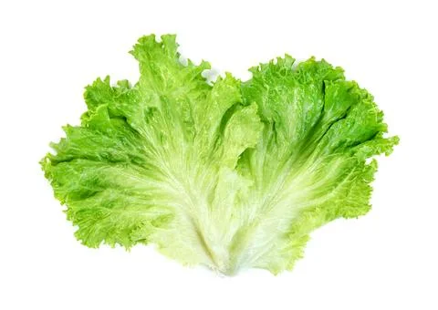 Lettuce leaf isolated on white background ,Green leaves pattern ,Salad ingr.. Stock Photos