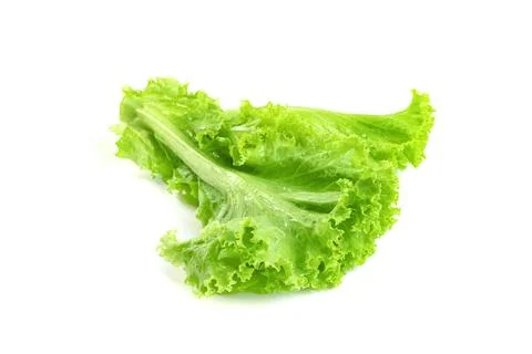 Lettuce leaf isolated on white background ,Green leaves pattern ,Salad ingr.. Stock Photos