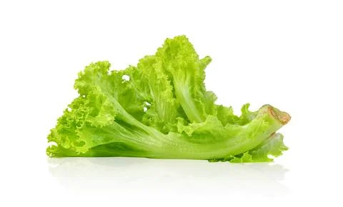Lettuce leaf isolated on white background ,Green leaves pattern ,Salad ingr.. Stock Photos