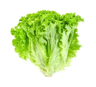 Lettuce leaf isolated on white background ,Green leaves pattern ,Salad ingr.. Stock Photos