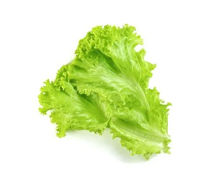 Lettuce leaf isolated on white background ,Green leaves pattern ,Salad ingr.. Stock Photos