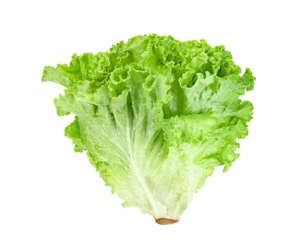 Lettuce leaf isolated on white background ,Green leaves pattern ,Salad ingr.. Stock Photos