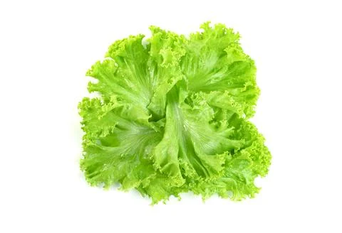 Lettuce leaf isolated on white background ,Green leaves pattern ,Salad ingr.. Stock Photos
