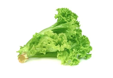 Lettuce leaf isolated on white background ,Green leaves pattern ,Salad ingr.. Stock Photos
