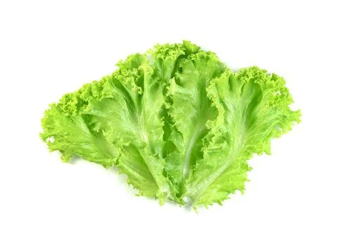 Lettuce leaf isolated on white background ,Green leaves pattern ,Salad ingr.. Stock Photos