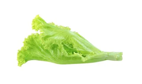 Lettuce leaf isolated on white background ,Green leaves pattern ,Salad ingr.. Stock Photos