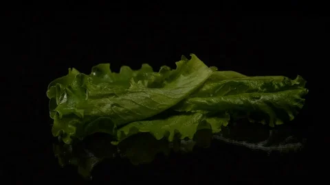 Lettuce leaves on black background Video stock 80598501