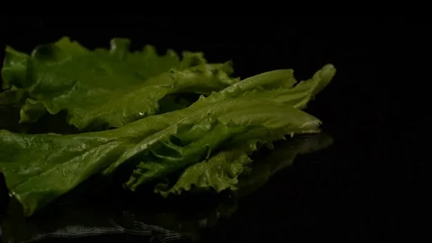Lettuce leaves on black background Stock Footage 80598912