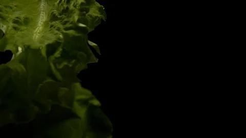 Lettuce leaves on black background Stock Footage 80607035