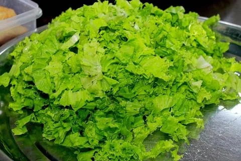 Lettuce leaves to complement the fresh vegetables menu. Stock Photos