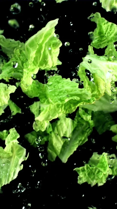 Lettuce leaves with drops of water fly up and fall down. Top view. Filmed on a Stock Footage 335292876