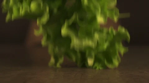 Lettuce leaves fall on the table Stock Footage 93960070