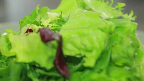 Lettuce leaves Vidéo 140538755