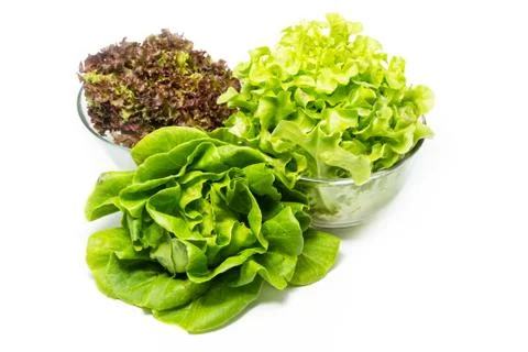 Lettuce leaves Stock Photos