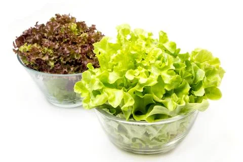 Lettuce leaves Stock Photos
