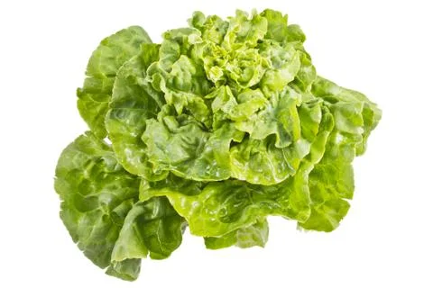 Lettuce leaves Stock Photos