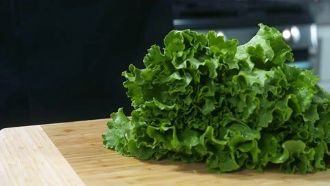 Lettuce leaves slow motion Stock Footage 223028283