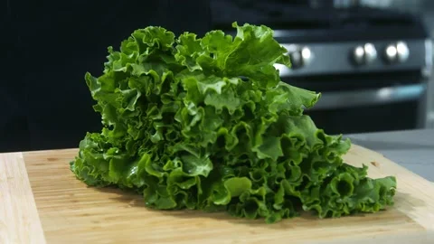 Lettuce leaves slow motion Stock Footage 223699561