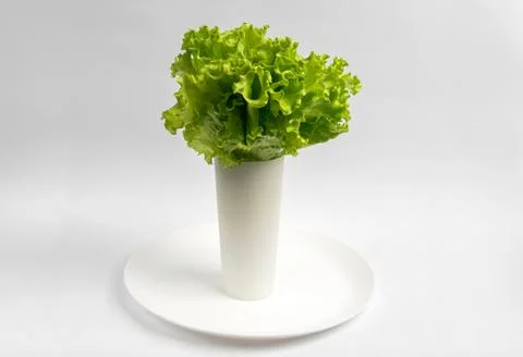 Lettuce leaves in a white glass base on a plate. Stock Photos