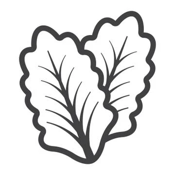 Lettuce line icon, vegetable and salad leaf イラスト素材