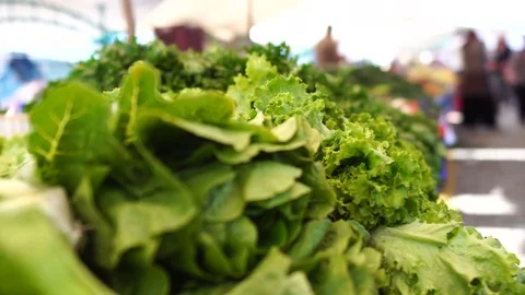 Lettuce on the market  Stock Footage 80688847