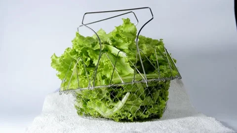 Lettuce in Metal Basket Stock Footage 233715609