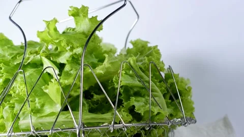 Lettuce in Metal Basket Stock Footage 233715893