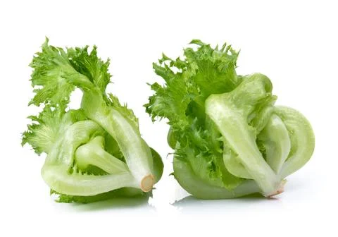 Lettuce on over white background Stock Photos
