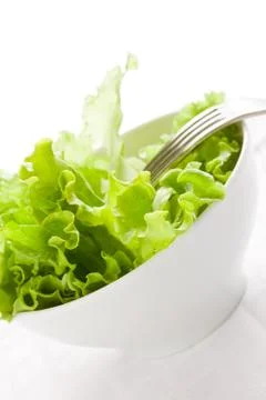 Lettuce Stock Photos