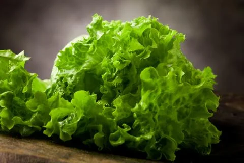Lettuce Stock Photos