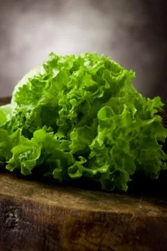 Lettuce Stock Photos