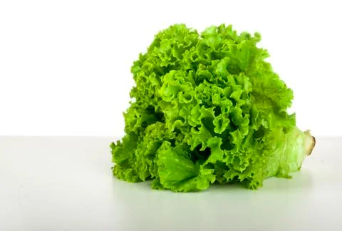 Lettuce Stock Photos