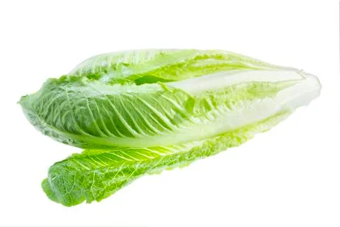 Lettuce Stock Photos