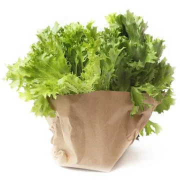 Lettuce Stock Photos