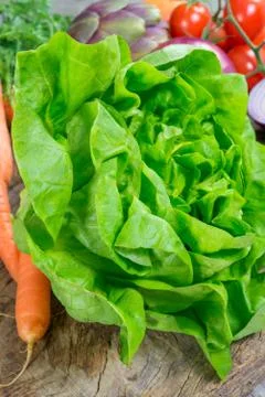 Lettuce Stock Photos