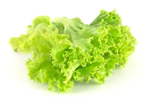 Lettuce Stock Photos