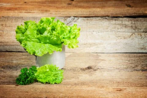 Lettuce Stock Photos