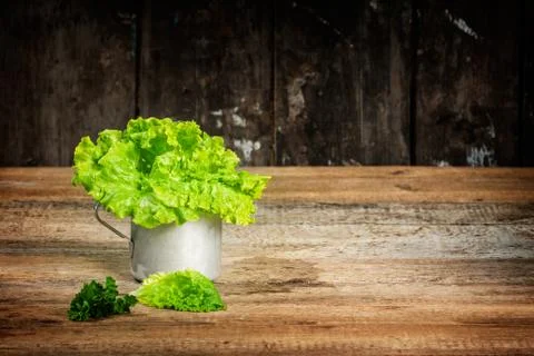 Lettuce Stock Photos