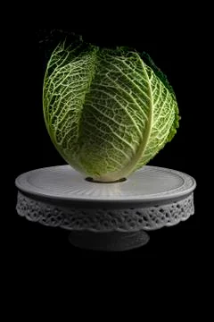 Lettuce Stock Photos