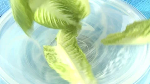 LETTUCE ON PLATE Vidéo 59004374