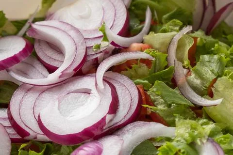 Lettuce red onion chopped on a white plate Stock Photos