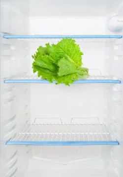 Lettuce in the refrigerator Stock Photos