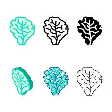 Lettuce salad color icon vector variations Stock Illustration