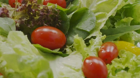 Lettuce salad Stock Footage 98298946