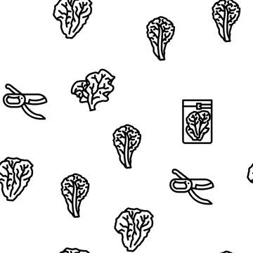 Lettuce salad leaf vegetable vector seamless pattern イラスト素材